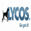 www.2befind.com - OnePage WebSearch All Americans Search Engines on 1 page Lycos