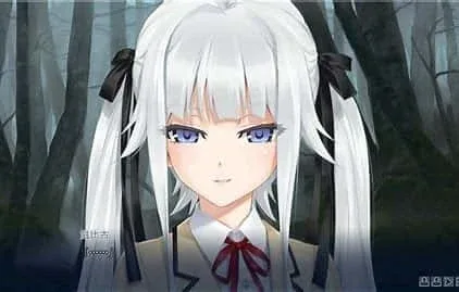 美少女万华镜 美少女万华镜游戏攻略PC版 封面图