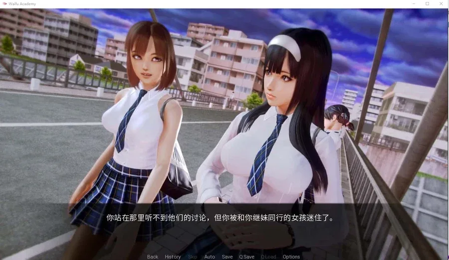 二次元老婆学院_Waifu Academy 二次元老婆学院 Waifu Academy中文官网PC版 封面图